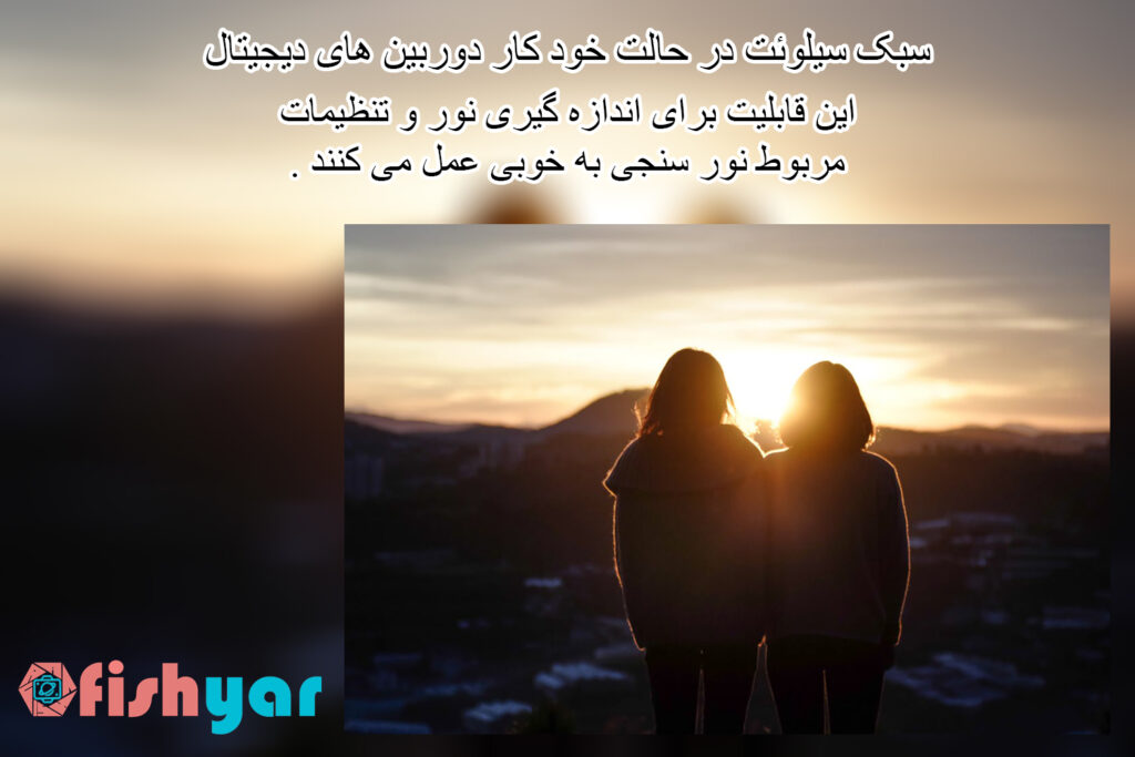 کادر مناسبی برای سوژه خود داشته باشید - آفیشیار